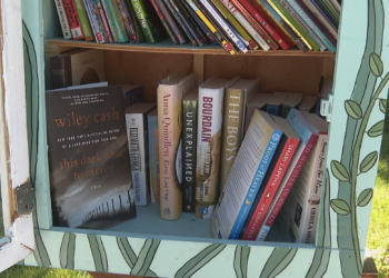 Thief caught clearing out little free library in woman’s front yard